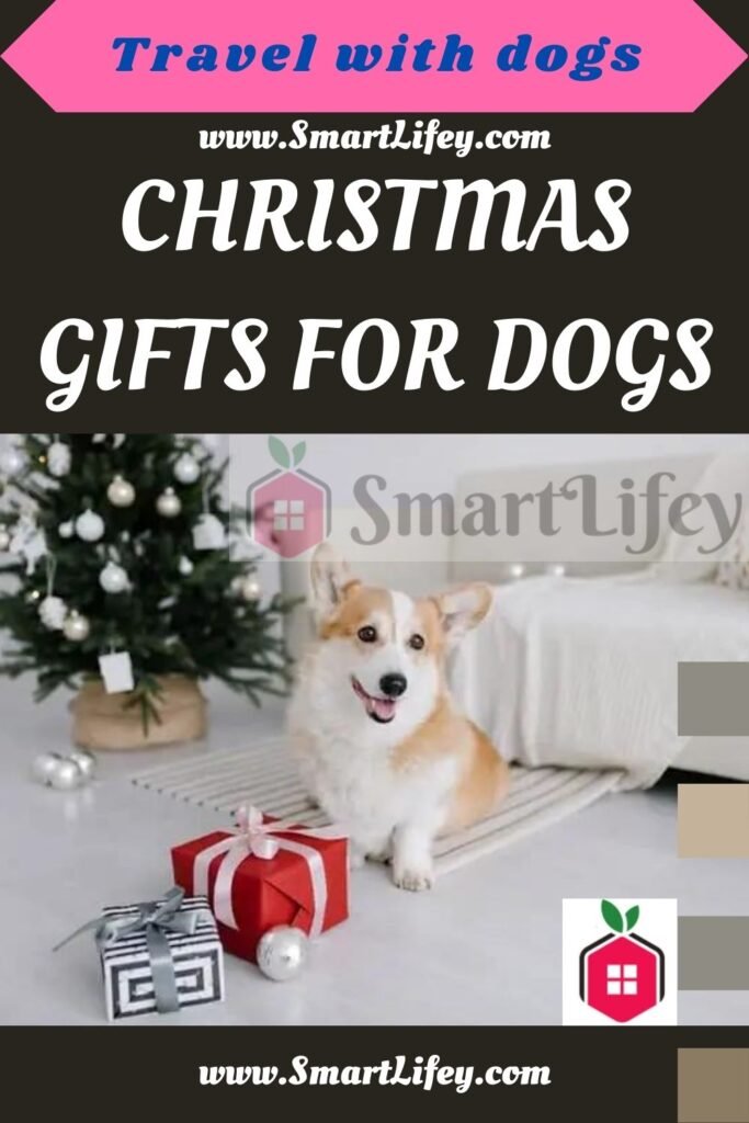 Christmas gifts for dogs